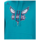 Jordan Ανδρικό φούτερ Charlotte Hornets NBA Essential Fleece Hoodie